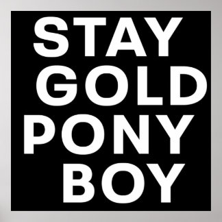 POSTER MANTENHA DOURADO PONY BOY