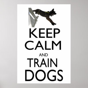 Pôster Manter Calmo e Treinar Cães