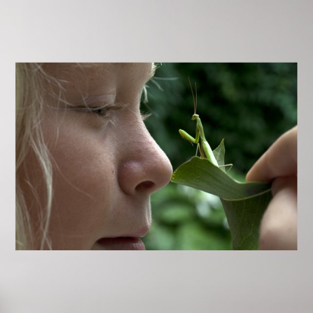 Poster Mantis religiosa (Frente)