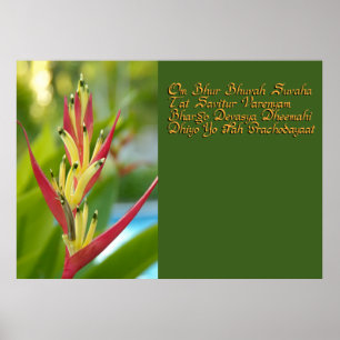 Poster Mantra Gayatri