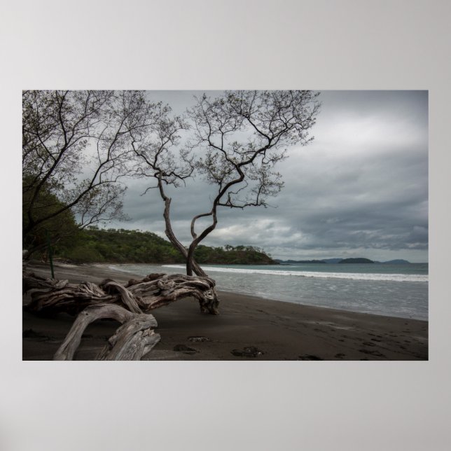 Pôster Manzanillo (Frente)