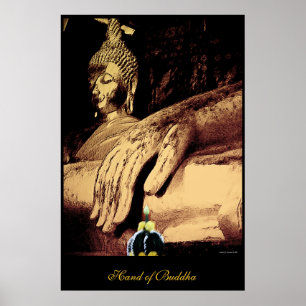 Poster Mão de Buddha