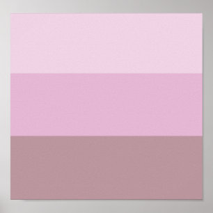 Poster Mão rosa listrada