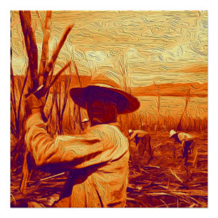 Pôster Mãos de campo que colhem o cana-de-açúcar