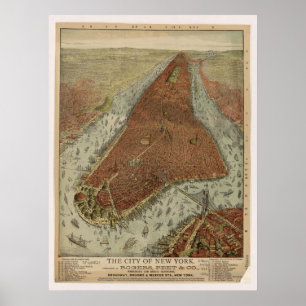 Poster Mapa 1879 panorâmico da opinião de olho de