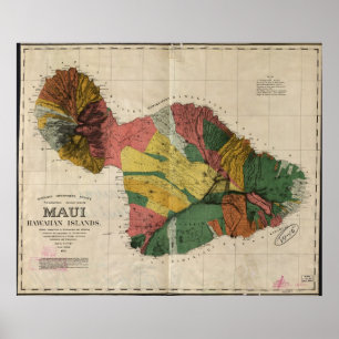 Poster Mapa 1885 de Maui, Havaí