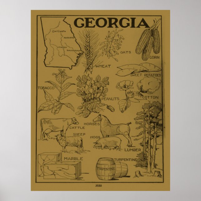 Poster Mapa agrícola da Geórgia em 1915 - Tan (Frente)