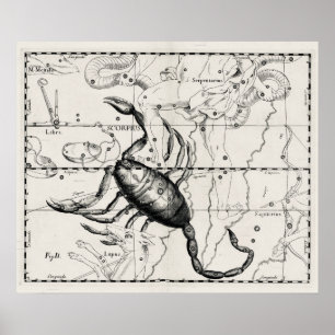 Poster Mapa Celeste de Constelações de Astronomia Vintage