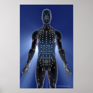 Poster Mapa claro de pontos da acupunctura