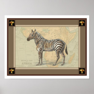 Pôster Mapa da África e uma Zebra