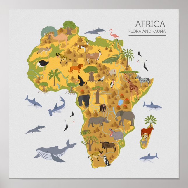 Pôster Mapa da África | Flora e fauna (Frente)