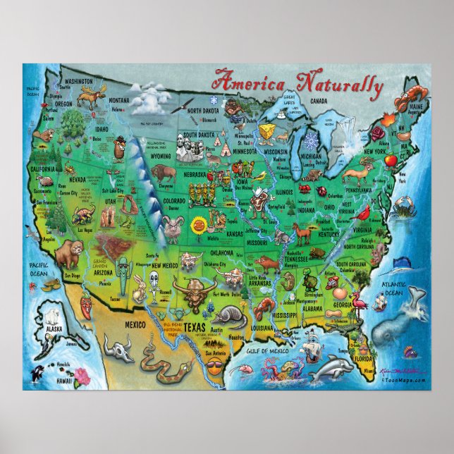 Poster Mapa da América Naturalmente Divertida (Frente)