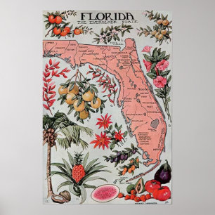 Poster Mapa da Flórida