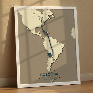 Poster Mapa da migração de Bobolink - Vintagem Minimalist