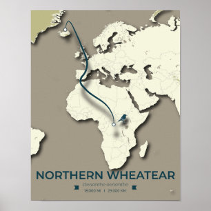 Poster Mapa da migração de rodas de norte - Minimalista