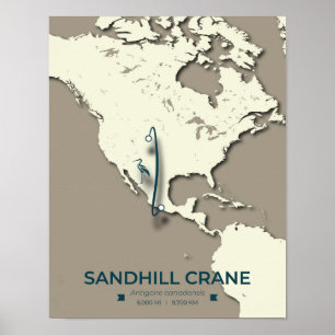 Poster Mapa da migração de Sandhill Crane - Vintage minim
