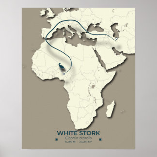 Poster Mapa da Migração de Storages Brancos - Bir de Vint