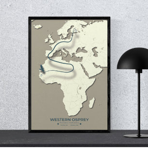 Poster Mapa da Migração do Osprey Ocidental - Vintage Min