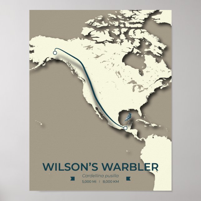 Poster Mapa da Migração do Warbler de Wilson - Minimalist (Frente)