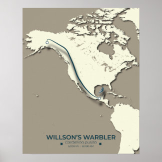 Poster Mapa da Migração do Warbler de Wilson - Minimalist
