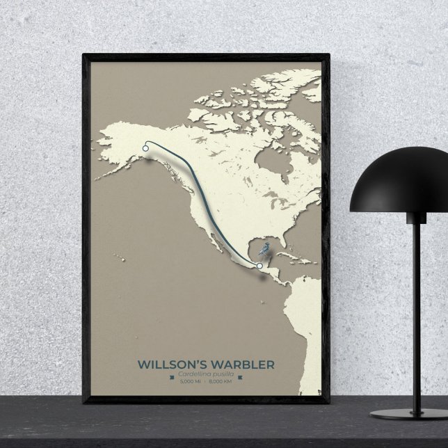 Poster Mapa da Migração do Warbler de Wilson - Minimalist (Criador carregado)