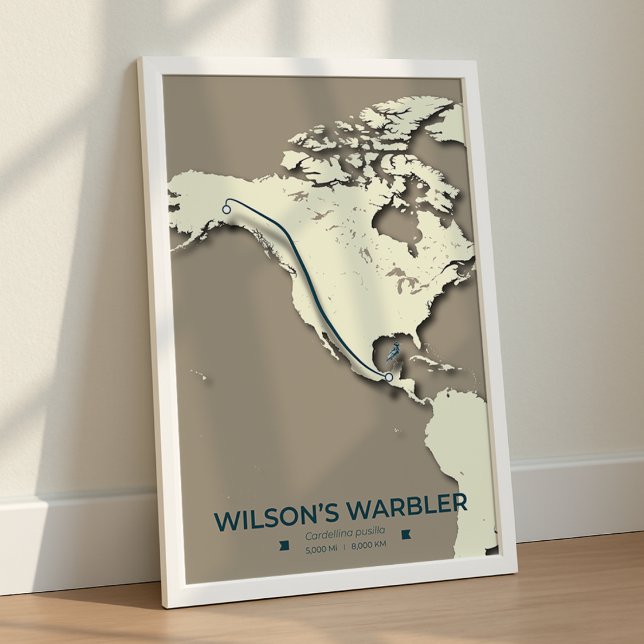 Poster Mapa da Migração do Warbler de Wilson - Minimalist (Criador carregado)