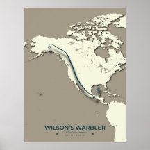 Mapa da Migração do Warbler de Wilson - Minimalist