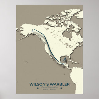 Poster Mapa da Migração do Warbler de Wilson - Minimalist