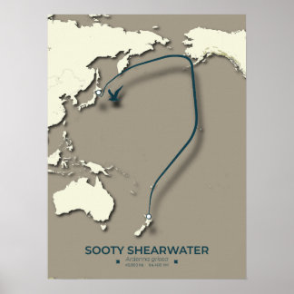 Poster Mapa da Migração Sooty Shearwater - Minimalista