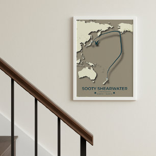 Poster Mapa da Migração Sooty Shearwater - Minimalista