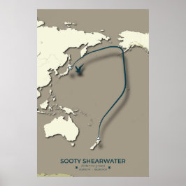 Poster Mapa da Migração Sooty Shearwater - Minimalista