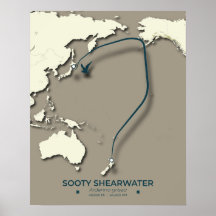 Mapa da Migração Sooty Shearwater - Minimalista
