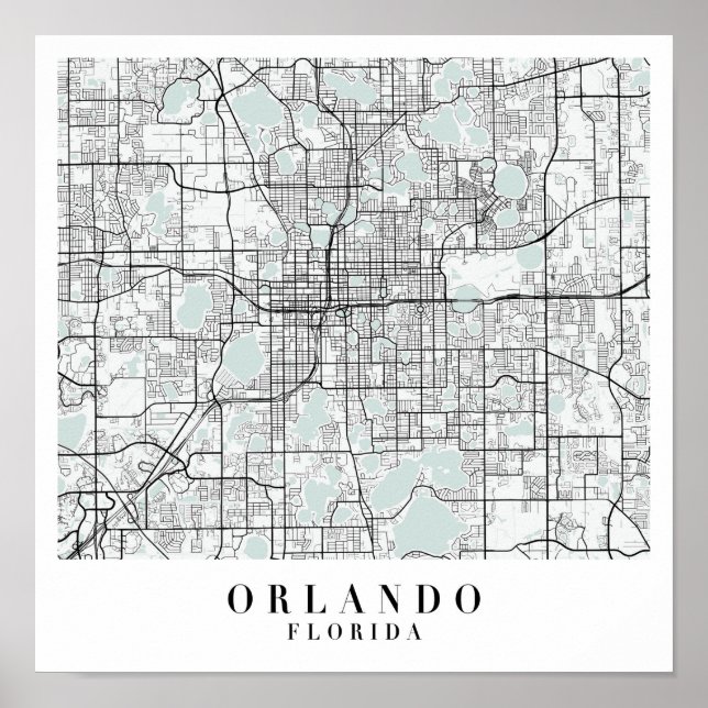 Poster Mapa da Rua Azul da Flórida Orlando (Frente)
