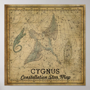 Poster Mapa das Estrelas da Constelação de Cygnus Swan