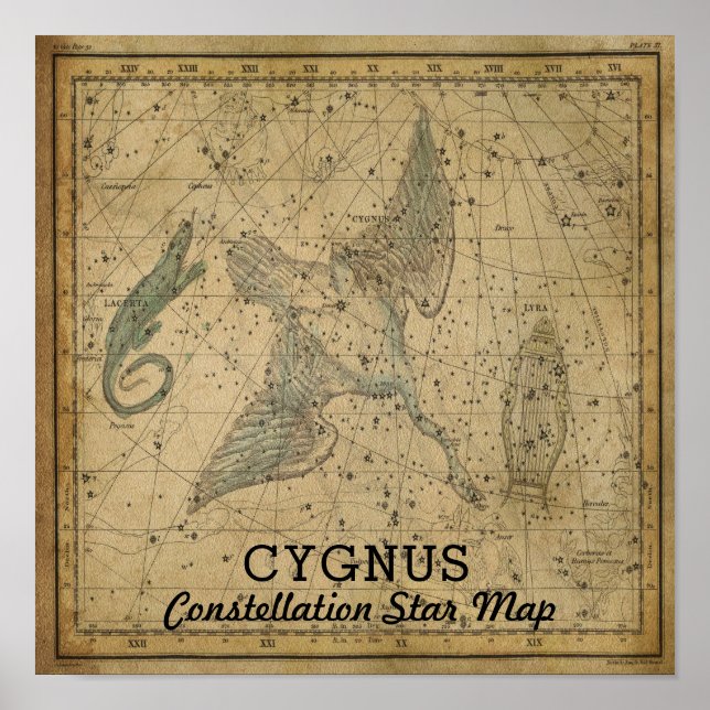 Poster Mapa das Estrelas da Constelação de Cygnus Swan (Frente)
