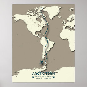 Poster Mapa das Migrações Tern do Árctico - Vintagem Mini