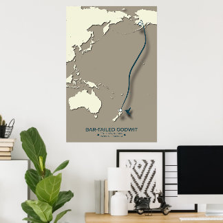 Poster Mapa das Migrações Tern do Árctico - Vintagem Mini