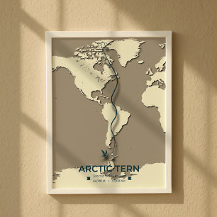 Poster Mapa das Migrações Tern do Árctico - Vintagem Mini