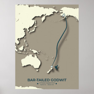 Poster Mapa das Migrações Tern do Árctico - Vintagem Mini