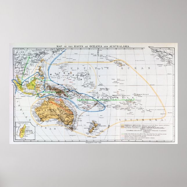 Pôster Mapa das raças da Oceânia e da Australásia (Frente)