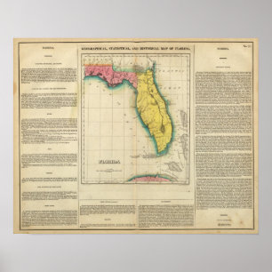 Poster Mapa de Florida