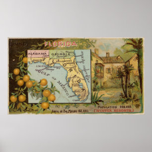 Poster Mapa de Florida do vintage com ilustrações (1890