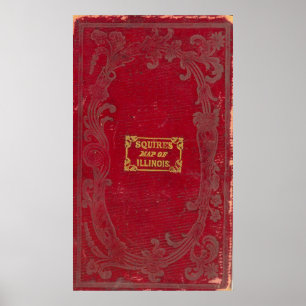 Pôster Mapa de Illinois