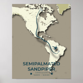 Poster Mapa de migração de Sandpiper semipalmado - Minima
