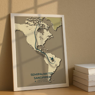 Poster Mapa de migração de Sandpiper semipalmado - Minima