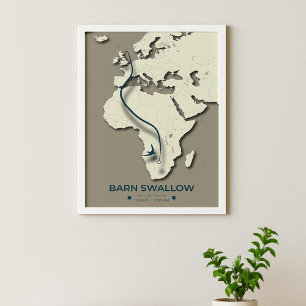 Poster Mapa de Migração do Barn Swallow - Vintage minimal