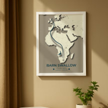 Mapa de Migração do Barn Swallow - Vintage minimal