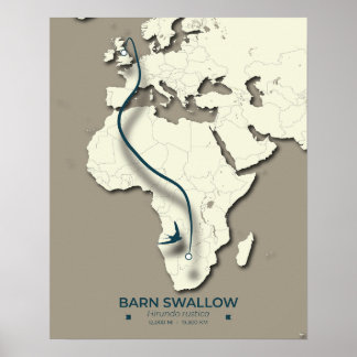 Poster Mapa de Migração do Barn Swallow - Vintage minimal