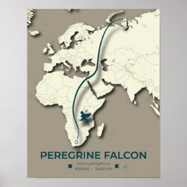 Poster Mapa de migração do Falcão Peregrino - Minimalista