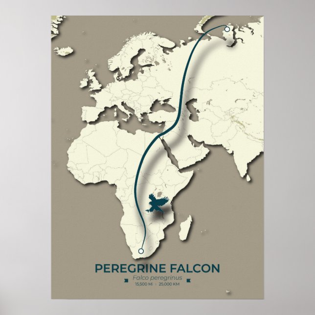 Poster Mapa de migração do Falcão Peregrino - Minimalista (Frente)
